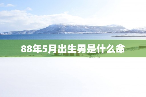 88年5月出生男是什么命