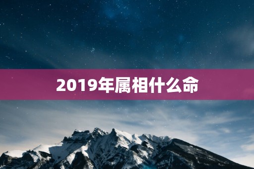 2019年属相什么命 2019年属相什么命