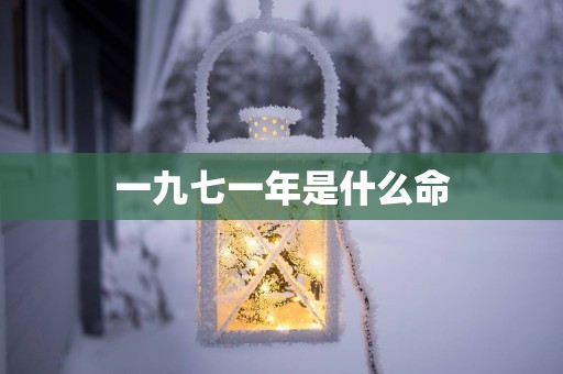 一九七一年是什么命