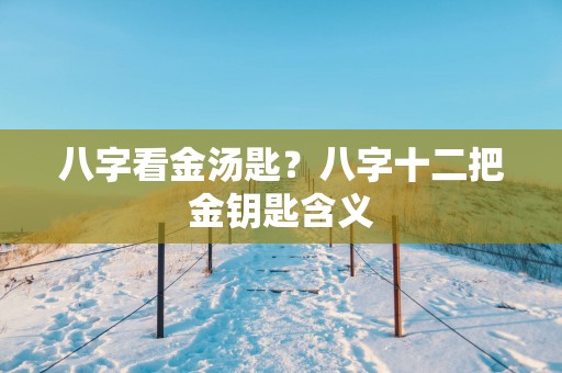 八字看金汤匙？八字十二把金钥匙含义