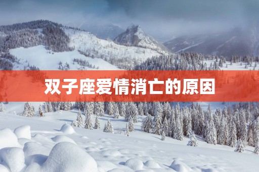 双子座爱情消亡的原因