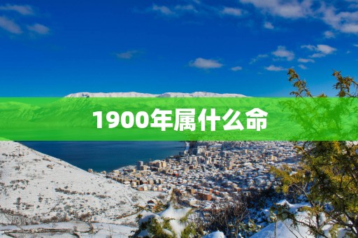 1900年属什么命