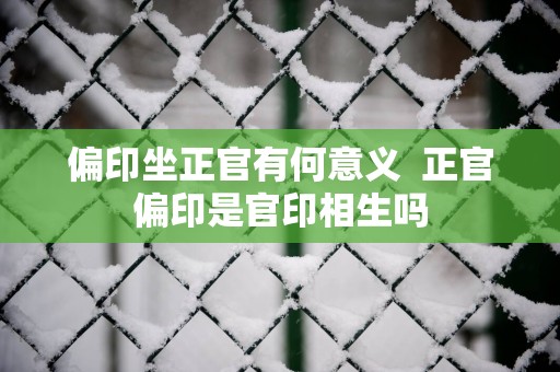 偏印坐正官有何意义  正官偏印是官印相生吗