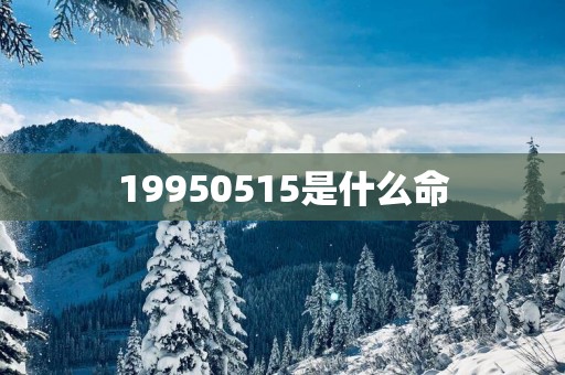 19950515是什么命