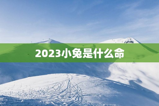 2025小兔是什么命