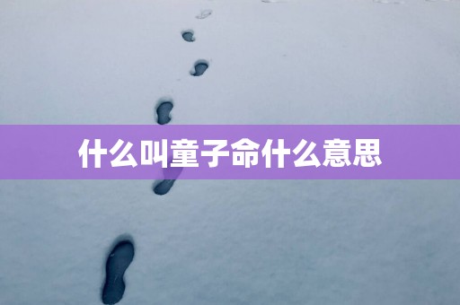 什么叫童子命什么意思