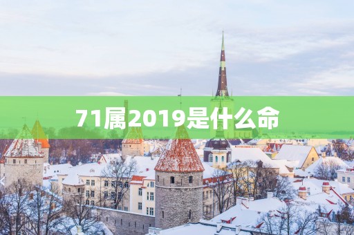 71属2019是什么命