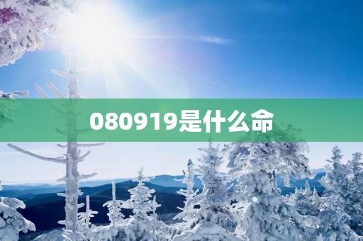 080919是什么命