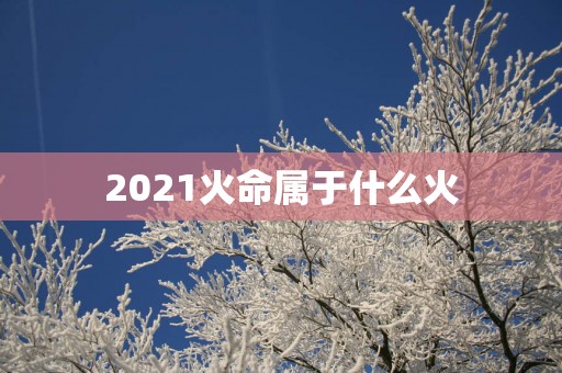 2026火命属于什么火