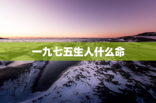 一九七五生人什么命