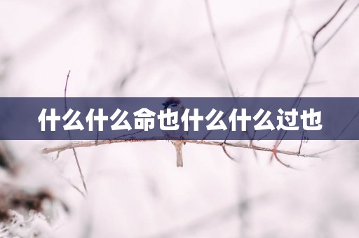 什么什么命也什么什么过也
