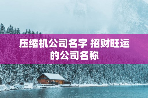 压缩机公司名字 招财旺运的公司名称
