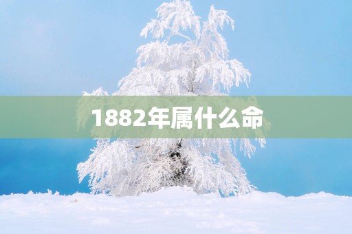 1882年属什么命