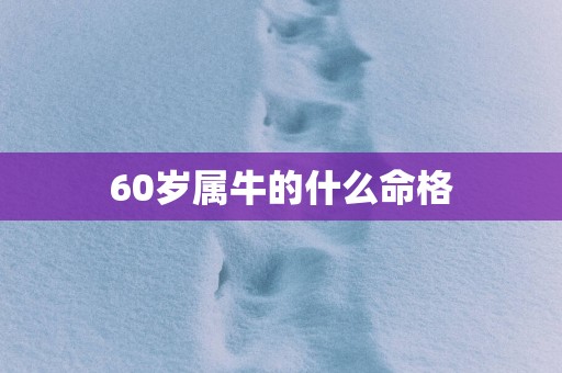 60岁属牛的什么命格