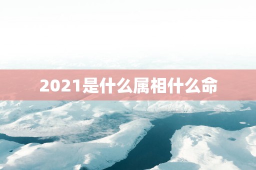 2021是什么属相什么命