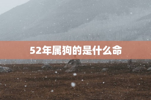 52年属狗的是什么命