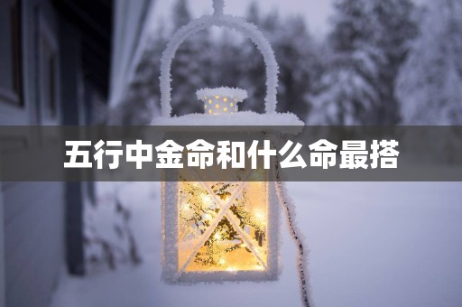 五行中金命和什么命最搭