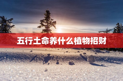 五行土命养什么植物招财