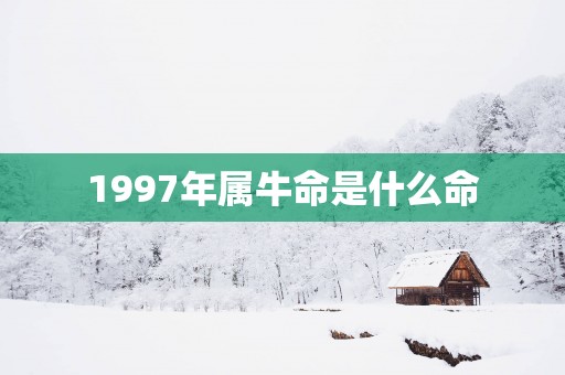 1997年属牛命是什么命
