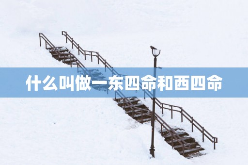 什么叫做一东四命和西四命