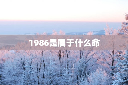 1986是属于什么命