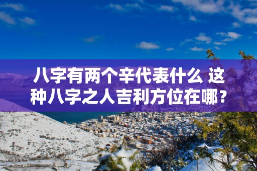 八字有两个辛代表什么 这种八字之人吉利方位在哪？