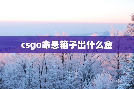 csgo命悬箱子出什么金