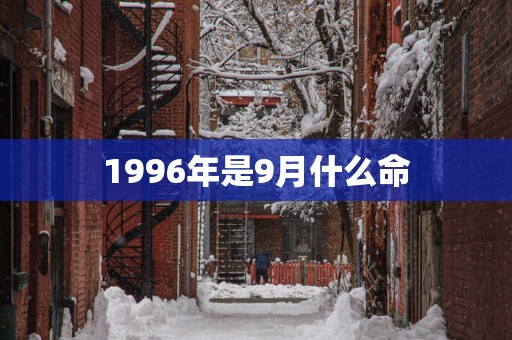 1996年是9月什么命