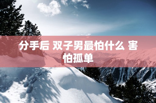 分手后 双子男最怕什么 害怕孤单