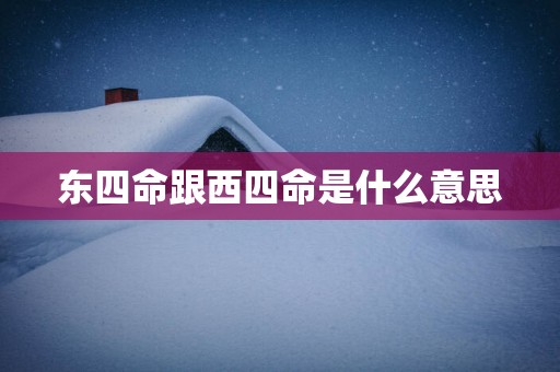 东四命跟西四命是什么意思