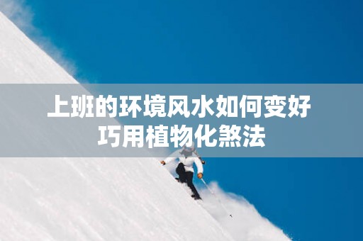 上班的环境风水如何变好 巧用植物化煞法