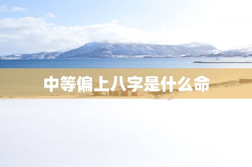 中等偏上八字是什么命