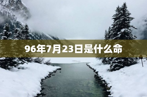 96年7月23日是什么命