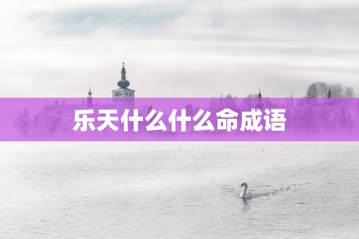 乐天什么什么命成语