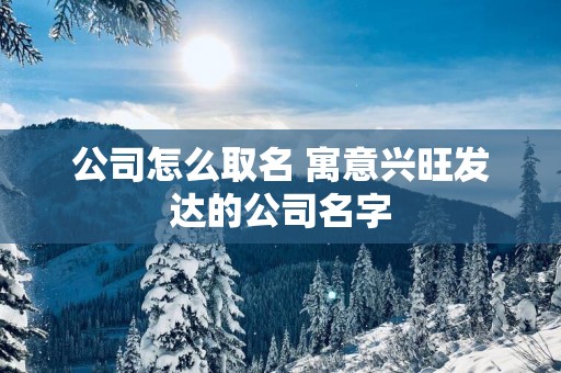 公司怎么取名 寓意兴旺发达的公司名字
