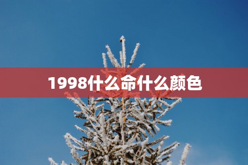 1998什么命什么颜色