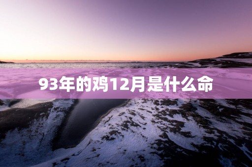 93年的鸡12月是什么命