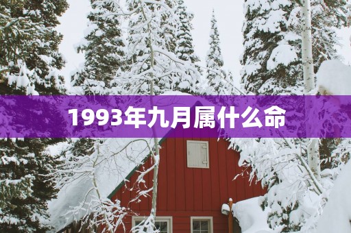 1993年九月属什么命