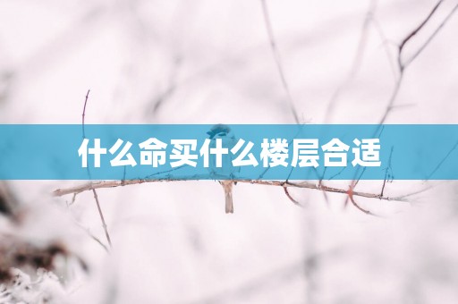 什么命买什么楼层合适