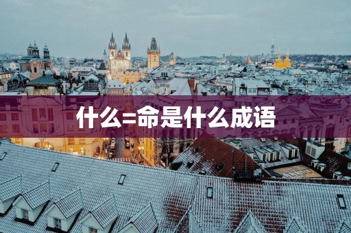 什么=命是什么成语