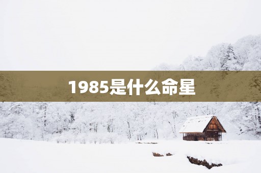 1985是什么命星