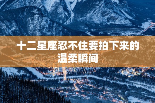 十二星座忍不住要拍下来的温柔瞬间