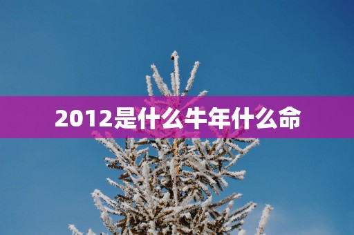 2012是什么蛇年什么命