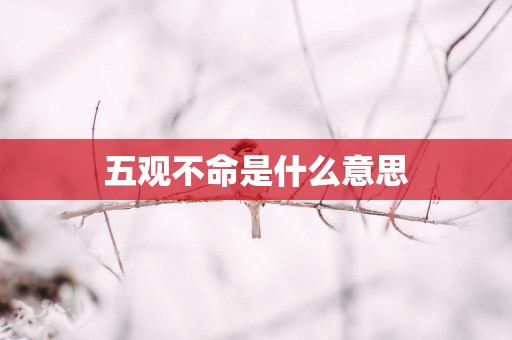 五观不命是什么意思