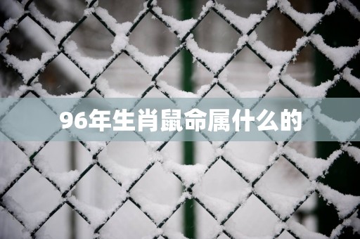 96年生肖鼠命属什么的