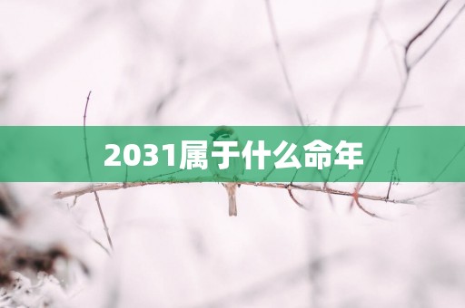 2031属于什么命年