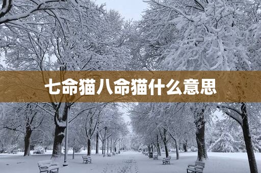 七命猫八命猫什么意思