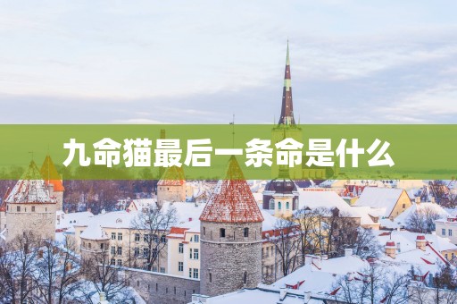 九命猫最后一条命是什么