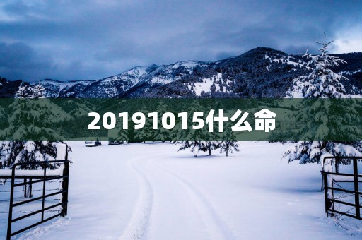 20191015什么命