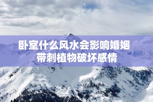 卧室什么风水会影响婚姻  带刺植物破坏感情